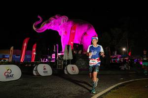 BIB: 
                            <button type="button" onclick="openModal(26534164)" class="btn btn-primary btn-sm float-right btn-popup" data-toggle="modal" data-target=".modal-high-quality">
                        <i class="fas fa-shopping-cart"></i> Add to Cart
                    </button>
                                            <button type="button" onclick="isThisMe(26534164, true)" class="btn btn-success btn-sm float-right btn-popup btn-isme hidden" data-toggle="tooltip" data-placement="bottom" title="นี่คือรูปของคุณใช่ไหม คลิกที่นี่เพื่อเอาเข้าอัลบั้ม">
                        <i class="fas fa-plus"></i> Add to album
                    </button>
                    <button type="button" onclick="isThisMe(26534164, false)" class="btn btn-warning btn-sm float-right btn-popup btn-isnotme hidden">
                        <i class="fas fa-ban"></i> Remove from album
                    </button>